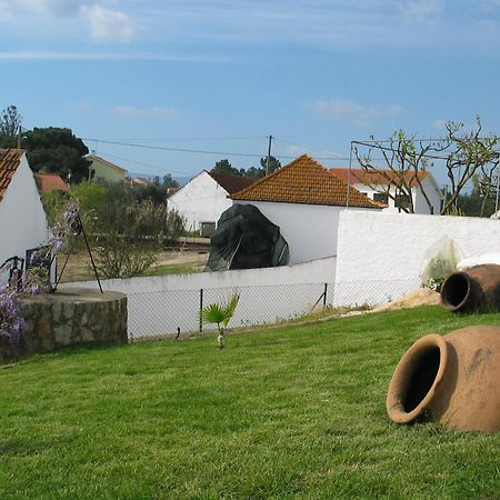 Willa Casa Da Palmeira Outeiro da Corticada Zewnętrze zdjęcie